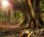 The Theory of Evolutionary Process as a Unifying Paradigm